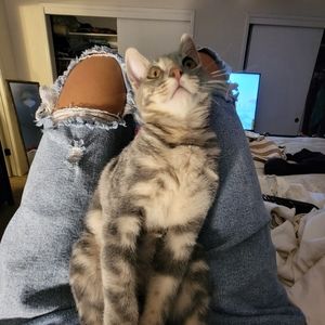 Meet your Posher, lina